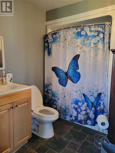 204 Paradise Park Road, Codroy Valley, NL - Indoor Photo Showing Bathroom