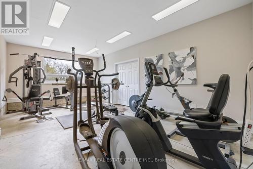 14 Buena Vista Drive, Mono, ON - Indoor Photo Showing Gym Room