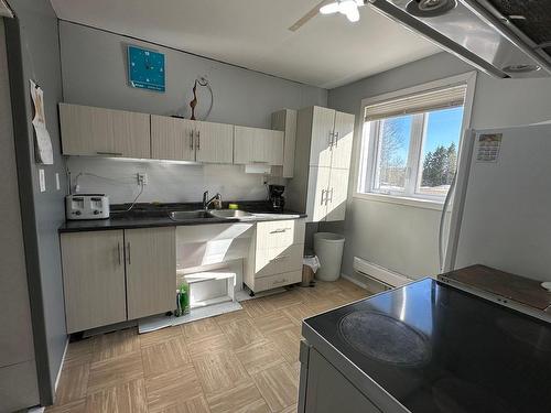 Dwelling - 18  - 20 Rue Principale N., Notre-Dame-Du-Nord, QC - Indoor Photo Showing Kitchen With Double Sink