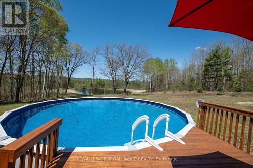 218 Fish And Game Club Road, Quinte West, ON - Outdoor With Above Ground Pool With Backyard