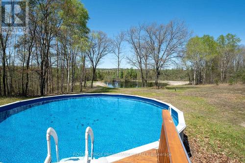 218 Fish And Game Club Road, Quinte West, ON - Outdoor With Above Ground Pool With Backyard