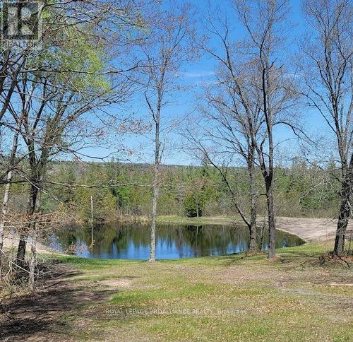 218 Fish And Game Club Road, Quinte West, ON - Outdoor With Body Of Water With View