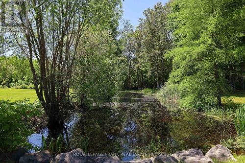 206 Powles Road, Kawartha Lakes (Cameron), ON - Outdoor With View