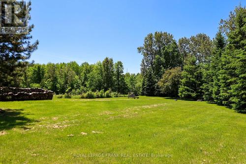 206 Powles Road, Kawartha Lakes, ON - Outdoor