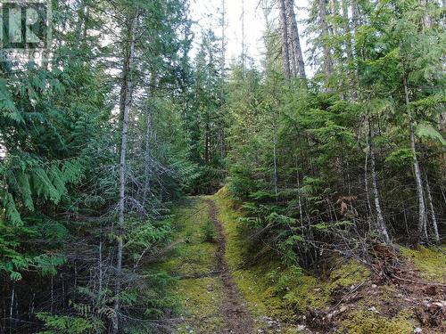 Lot 8 Balfour Avenue, Kaslo, BC 