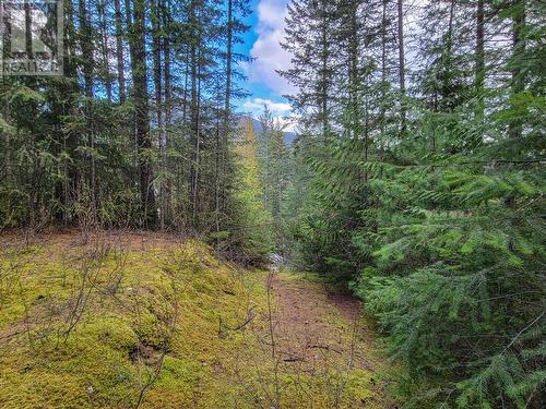 Lot 8 Balfour Avenue, Kaslo, BC 