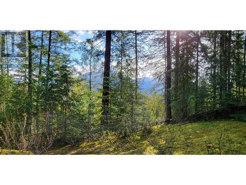 Lot 8 Balfour Avenue, Kaslo, BC 