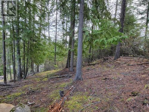 Lot 8 Balfour Avenue, Kaslo, BC 