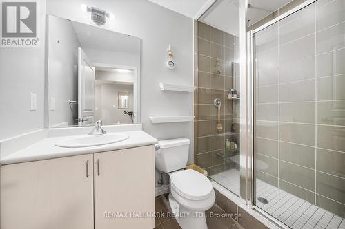 201 - 223 Webb Drive, Mississauga, ON - Indoor Photo Showing Bathroom