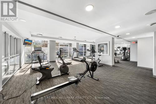 201 - 223 Webb Drive, Mississauga, ON - Indoor Photo Showing Gym Room