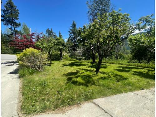 3838 Woodcrest Road, Nelson, BC - Outdoor With View