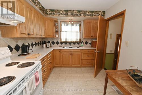 222 Inkerman Street, St. Thomas, ON - Indoor Photo Showing Kitchen With Double Sink