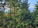 3701 Starboard Cres, Pender Island, BC  - Outdoor With View 