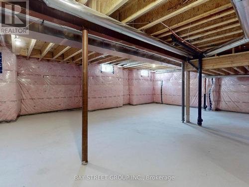 17 Father Muckle Avenue, Georgina, ON - Indoor Photo Showing Basement
