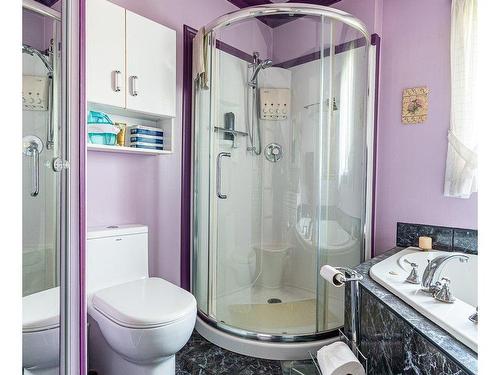 Salle de bains - 8 Ch. Des Lacs, Wotton, QC - Indoor Photo Showing Bathroom