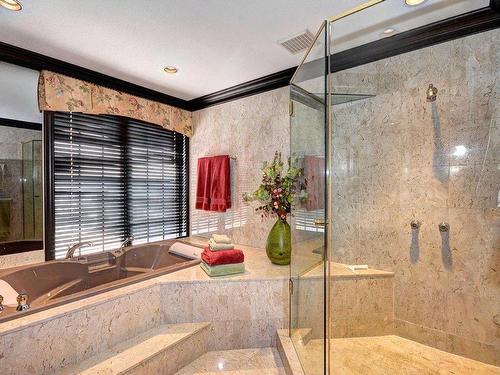 Ensuite bathroom - 1485 Rue Des Quatre-Saisons, Sainte-Adèle, QC - Indoor Photo Showing Bathroom
