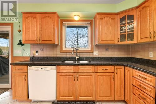 4661 Shadetree Crescent, Windsor, ON - Indoor Photo Showing Kitchen With Double Sink