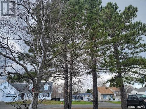 213 Jacques, Beresford, NB - Outdoor