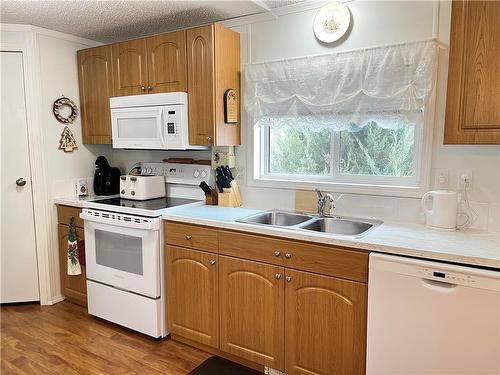 45 Bluebird Crescent, Brandon, MB - Indoor Photo Showing Kitchen With Double Sink