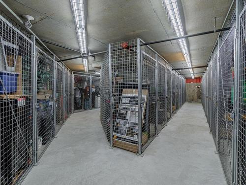 Rangement - 1110-7145 Ch. Des Forts, Lévis (Desjardins), QC - Indoor With Storage