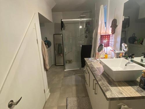 Overall view - 395 Rue D'Ambre, Candiac, QC - Indoor Photo Showing Bathroom
