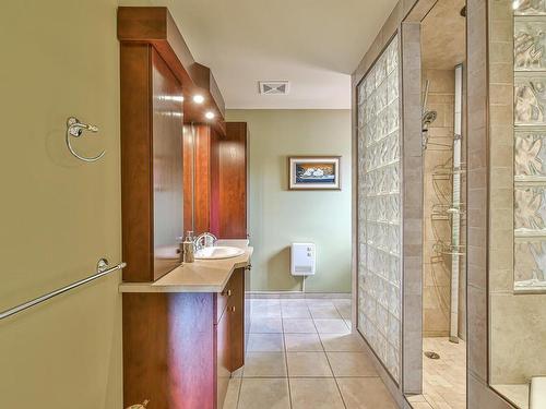 Ensuite bathroom - 41 Ch. Thibault, Saint-Donat, QC - Indoor Photo Showing Bathroom