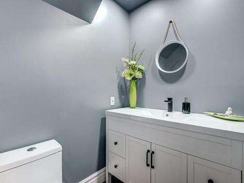 Powder room - 33 Rue De La Normandie, Rougemont, QC - Indoor Photo Showing Bathroom