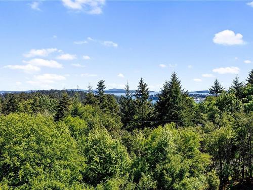 11121 Calypso Lane, North Saanich, BC - Outdoor With View