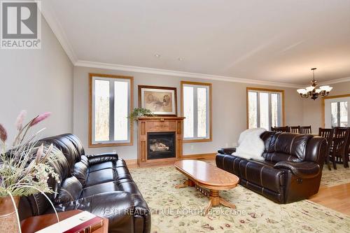 1524 Flos 8 Road E, Springwater, ON - Indoor Photo Showing Living Room With Fireplace