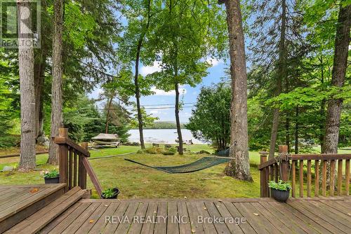 354 Forest View Road, Hastings Highlands, ON - Outdoor With Deck Patio Veranda