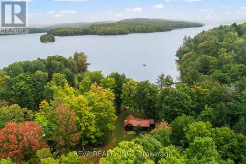 354 Forest View Road, Hastings Highlands, ON - Outdoor With Body Of Water With View