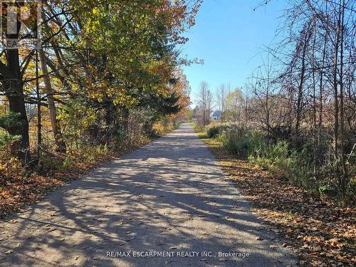 5127 Milburough Line, Burlington, ON - Outdoor With View