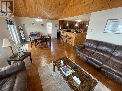61 Crooked Lake Road, Badger, NL - Indoor Photo Showing Living Room