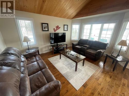 61 Crooked Lake Road, Badger, NL - Indoor Photo Showing Living Room