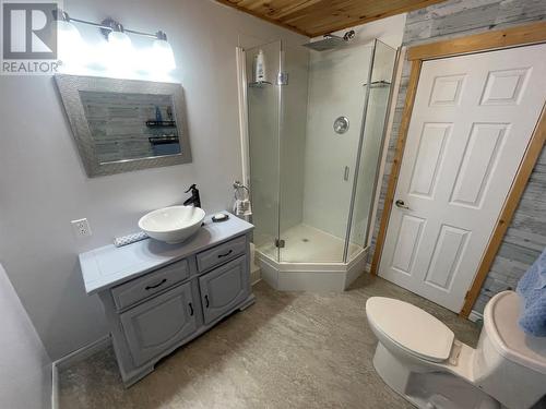 61 Crooked Lake Road, Badger, NL - Indoor Photo Showing Bathroom