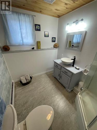 61 Crooked Lake Road, Badger, NL - Indoor Photo Showing Bathroom
