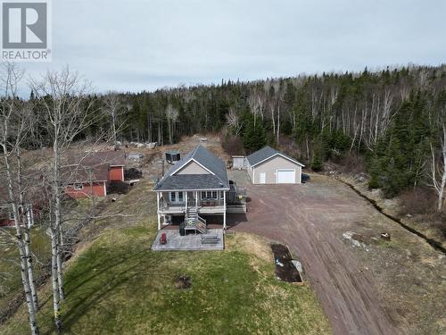 61 Crooked Lake Road, Badger, NL - Outdoor With View