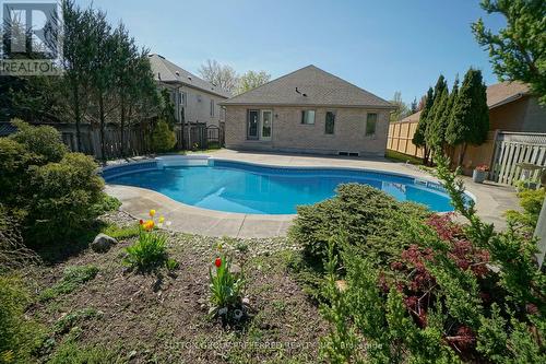 649 Inverness Avenue, London, ON - Outdoor With In Ground Pool With Backyard