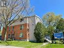 37 Bond Street S, Hamilton, ON  - Outdoor 