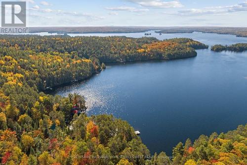 279 Weslemkoon Lake, Addington Highlands, ON - Outdoor With Body Of Water With View