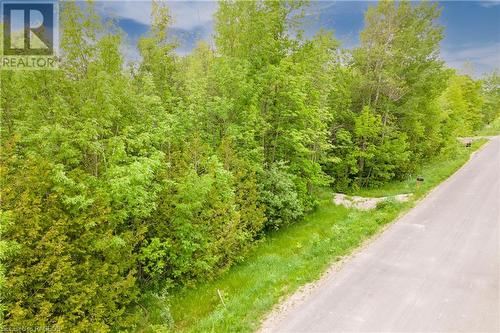 Located on a year-round roadway! - 63 Maple Drive, Northern Bruce Peninsula, ON 