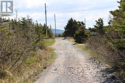 Lot 5 Bank Road, Cavendish, NL 