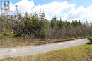 Lot 5 Bank Road, Cavendish, NL 