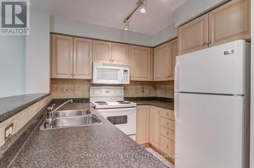 313 - 23 Lorraine Drive, Toronto, ON - Indoor Photo Showing Kitchen With Double Sink