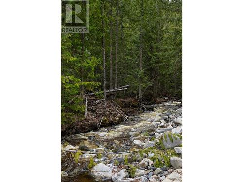 1538 Creighton Valley Road, Lumby, BC -  With View