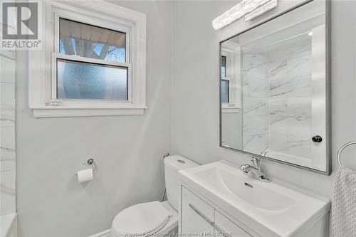 3217 Woodlawn Avenue, Windsor, ON - Indoor Photo Showing Bathroom