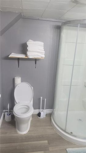 60 Chelsea Street, St. Catharines, ON - Indoor Photo Showing Bathroom