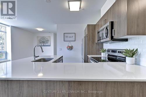 308 - 455 Charlton Avenue E, Hamilton, ON - Indoor Photo Showing Kitchen With Upgraded Kitchen