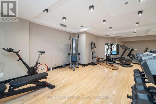 102 - 530 Indian Grove, Toronto, ON - Indoor Photo Showing Gym Room