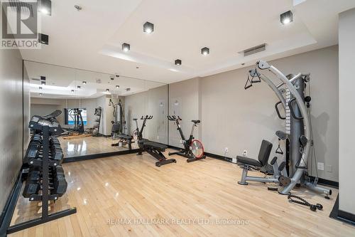 102 - 530 Indian Grove, Toronto, ON - Indoor Photo Showing Gym Room